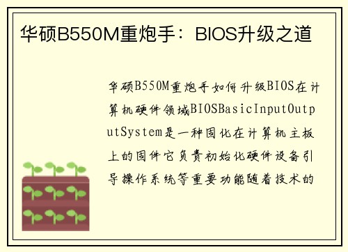 华硕B550M重炮手：BIOS升级之道